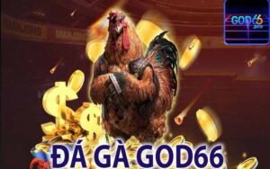 Đá Gà Godd66