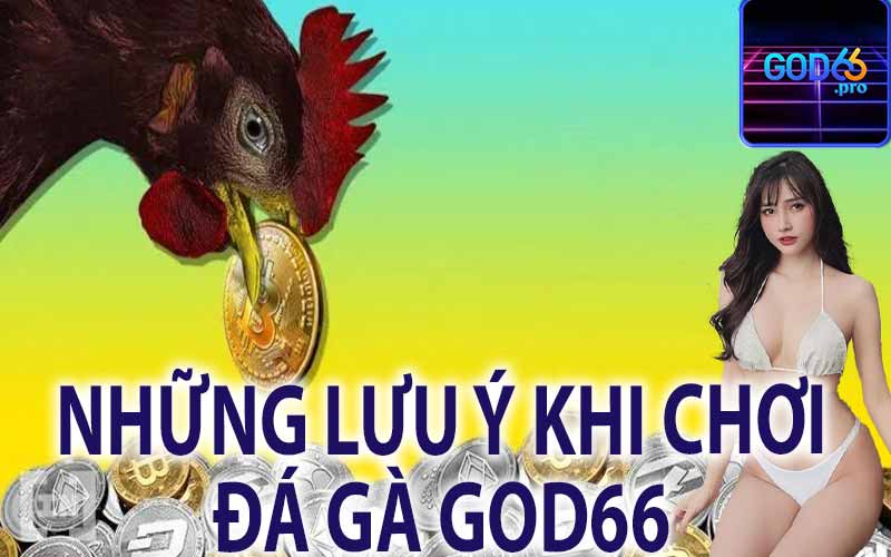 Những Lưu Ý Khi Chơi Đá Đà God66